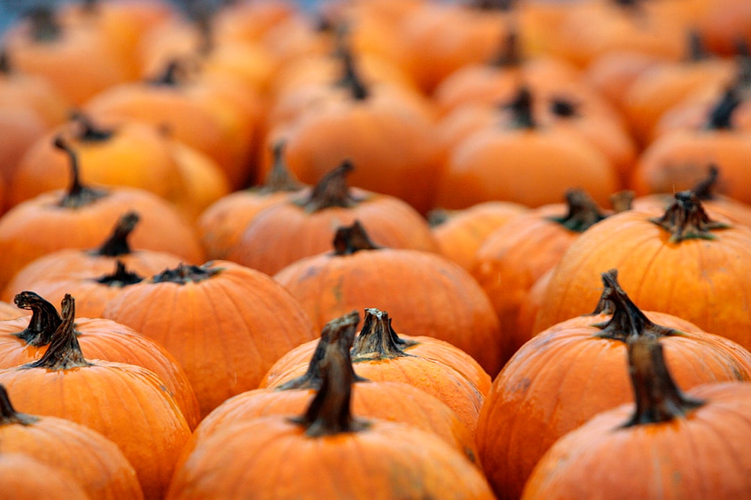 Achieve Radiant Skin with a DIY Pumpkin and Honey Enzyme Face Mask