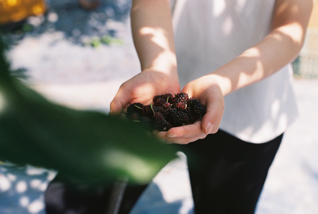 Photo Mulberry Brightening